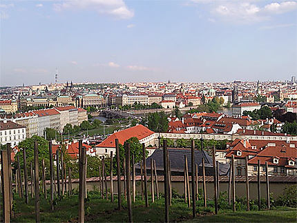 Les Vignes du Château de Prague surplombant le fleuve et la ville