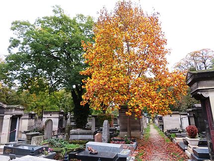 Le cimetière de Montmartre en automne
