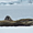 La sentinelle veille sur Svalbard