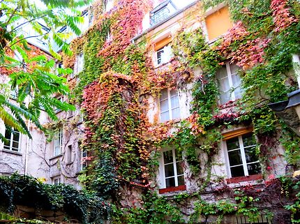 L'automne dans Paris 