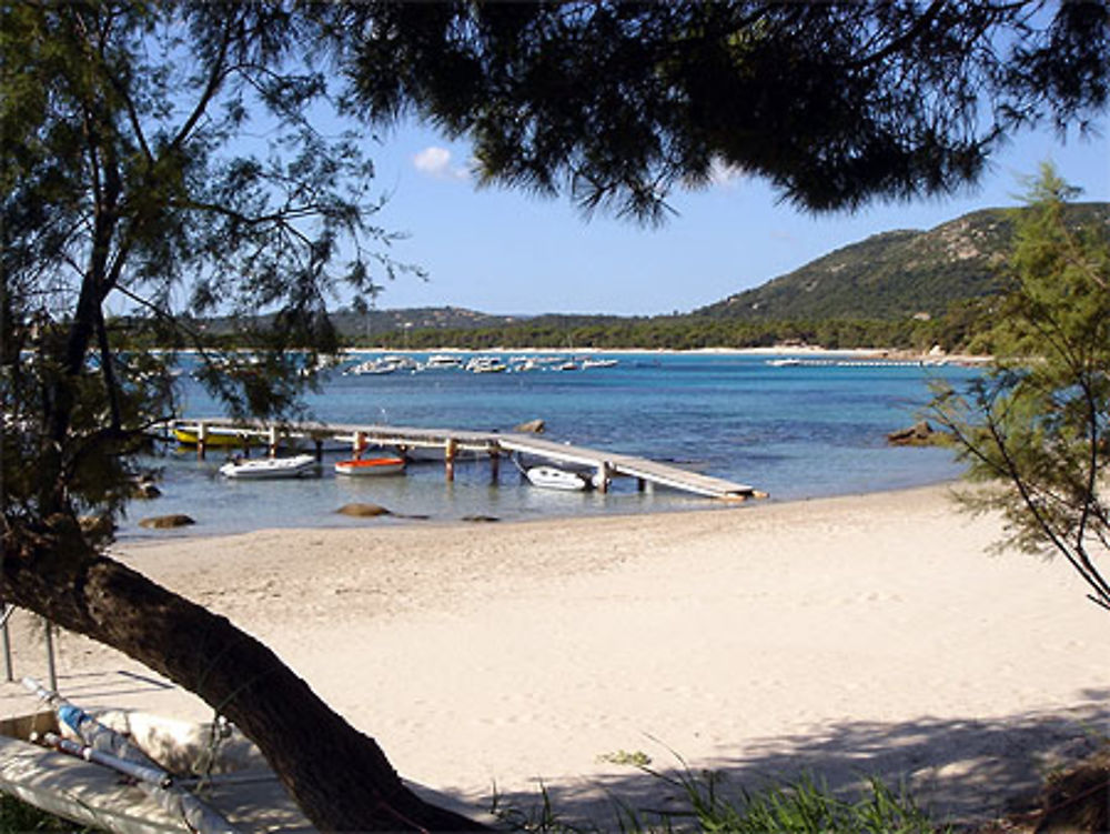 Plage de Pinarellu