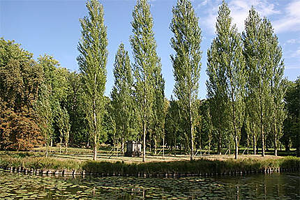 île des Peupliers dans le parc Jean-Jacques Rousseau