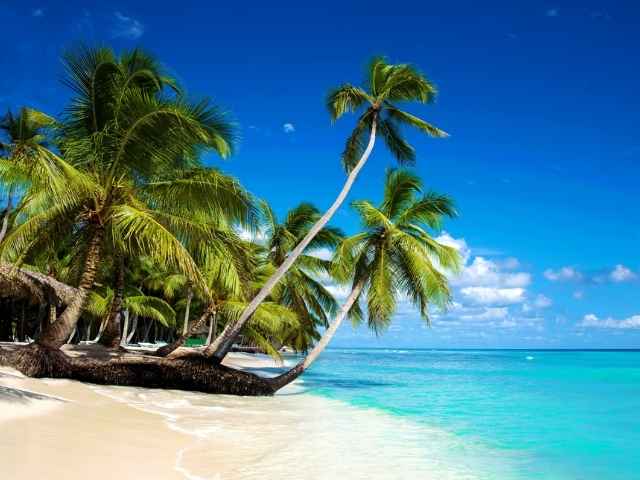 République Dominicaine, vacances Jusqu'à -70% 
