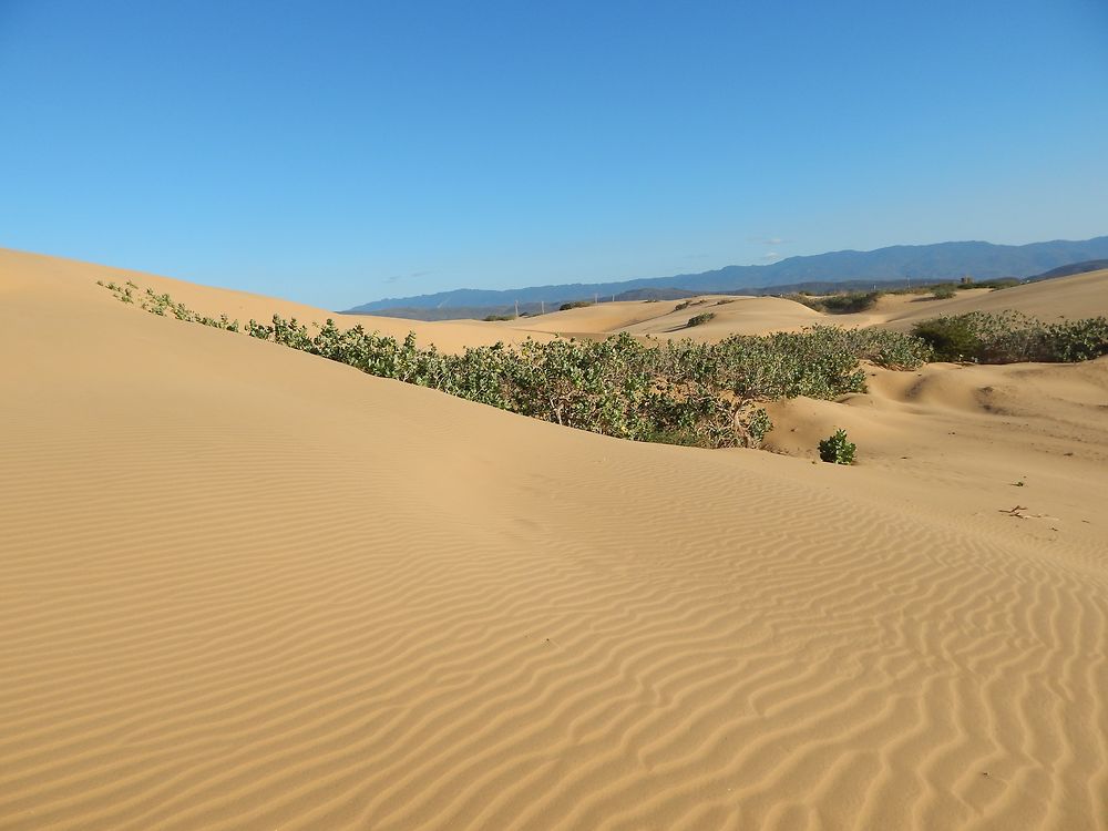 Medanos de Coro