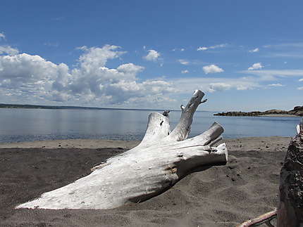 Paysage de Magpie