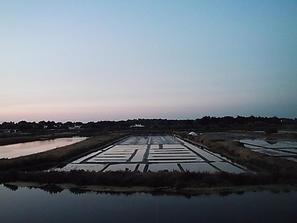 Marais de Mullembourg au couché du soleil 