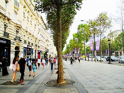 Sur les Champs Elysées 