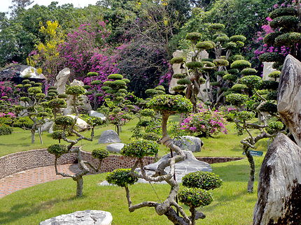 Jardin de bonsaïs