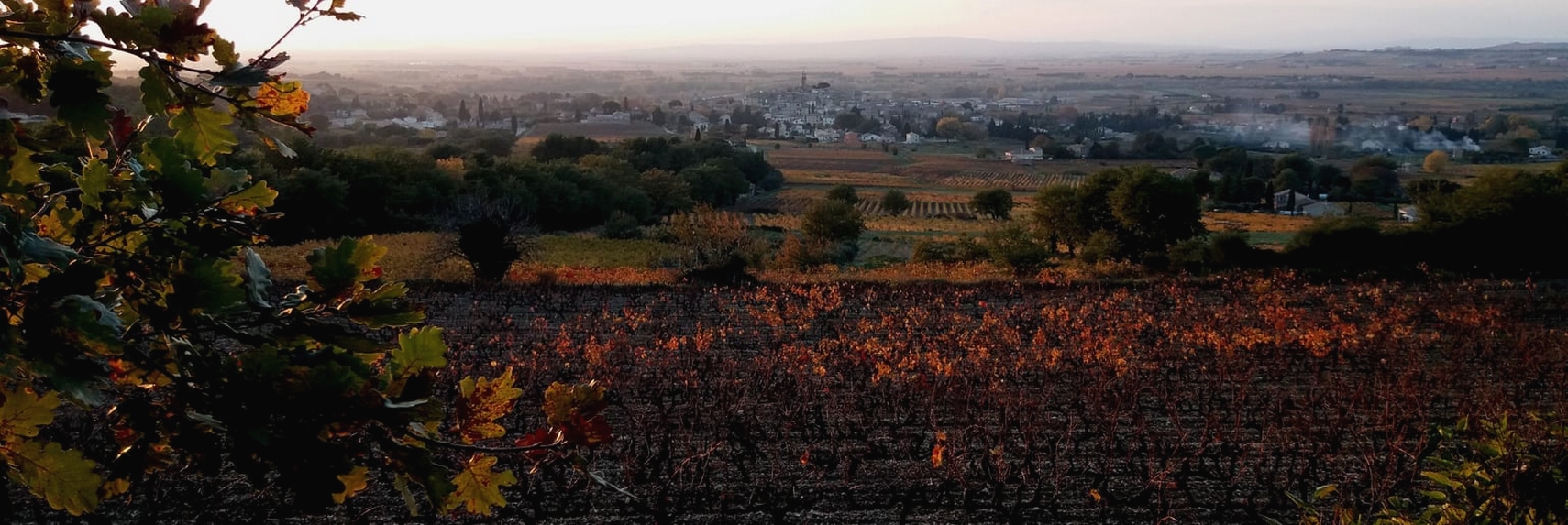 Sablet coucher de soleil sur les vignes novembre Sablet coucher de soleil sur les vignes novembre