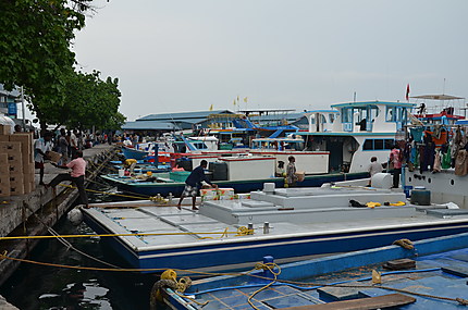 Port de Malé