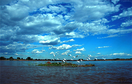 Piroguer sur la rivière Tsiribihina à Madagascar Piroguer sur la rivière Tsiribihina à Madagascar