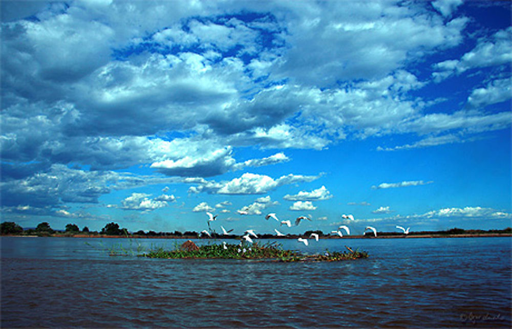 Piroguer sur la rivière Tsiribihina à Madagascar