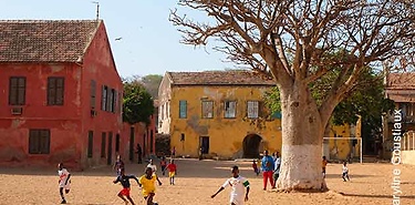 Le S&eacute;n&eacute;gal en Immersion