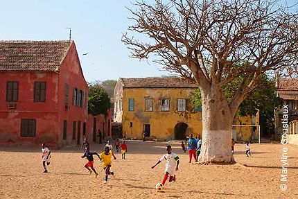 Le Sénégal en Immersion