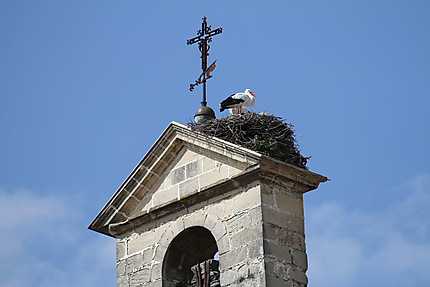 Cigogne sur un clocher de Xérès