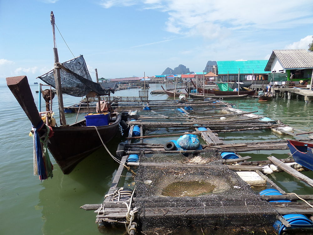 Pêche à la crevette à Koh Panyee