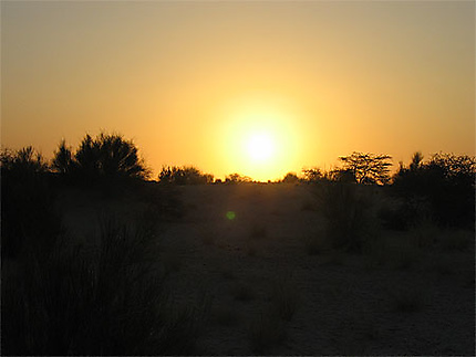 Coucher de soleil sur le Sahara
