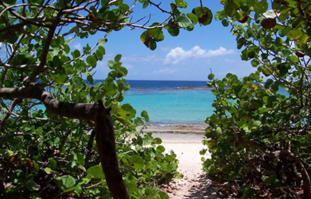 Anse à la Gourde