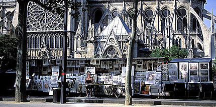 Bouquiniste à Notre-Dame