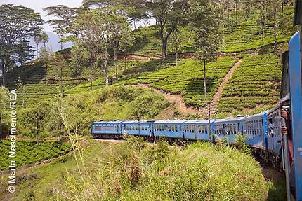 Le Sri Lanka en Immersion