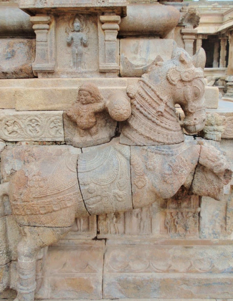 Chevalier au Temple Nageswaran, Inde Chevalier au Temple Nageswaran, Inde