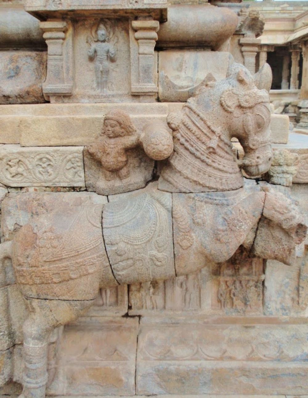 Chevalier au Temple Nageswaran, Inde