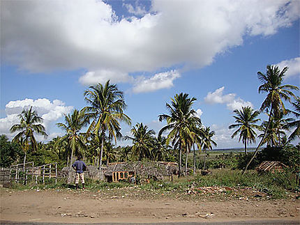 Paysage tropical du Mozambique