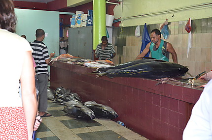 Marché aux poissons Malé