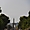 Obélisque, Arc de triomphe, Jardin des Tuileries