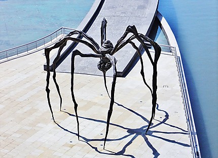 L'Araignée de Guggenheim