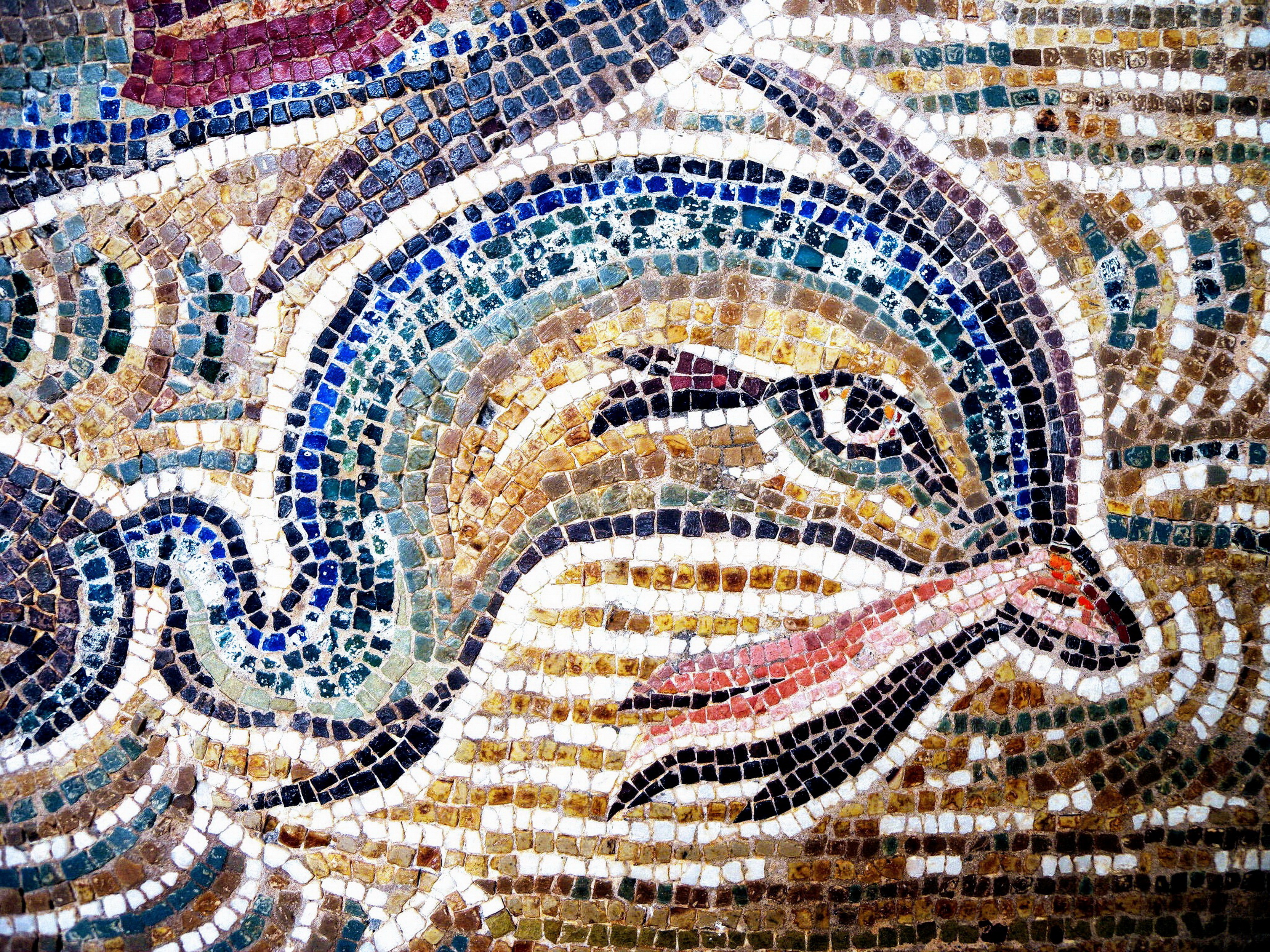 Mosaïque romaine de dauphin Mosaïque romaine de dauphin