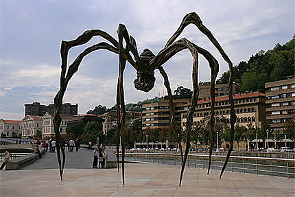 Araignée du Guggenheim