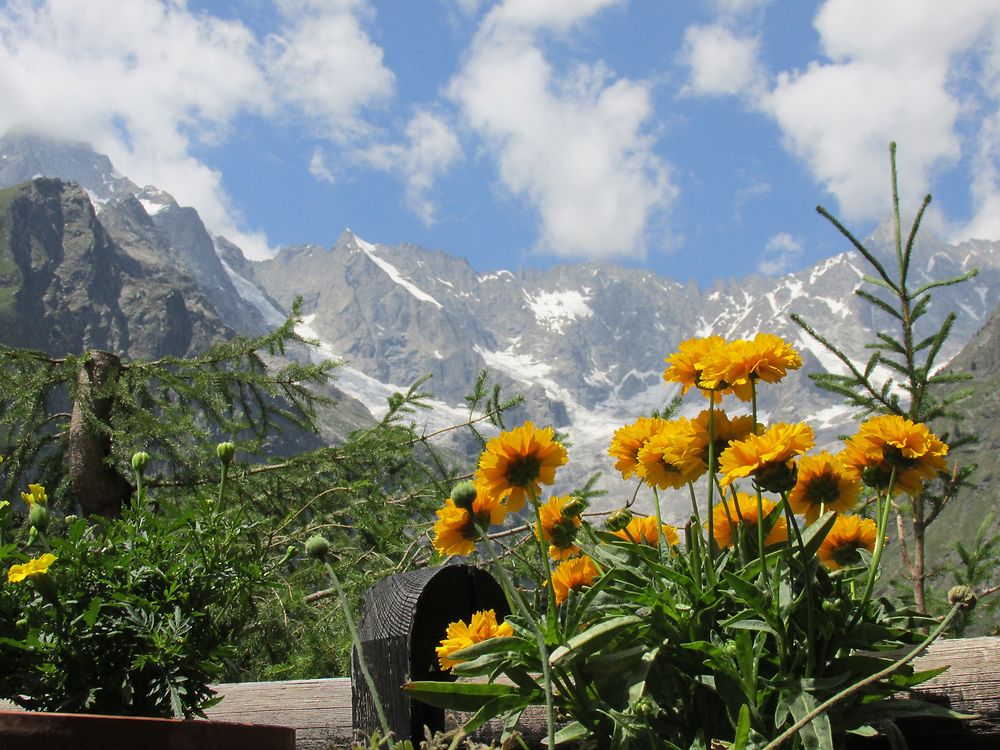 Vue des chalets La Fouly