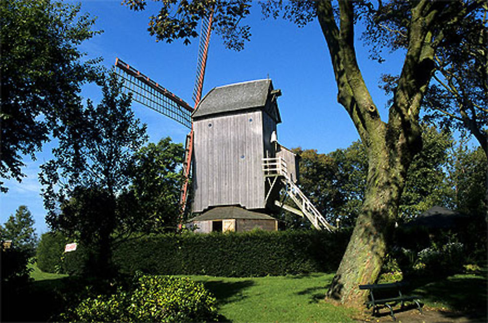 Moulin à vent, Cassel