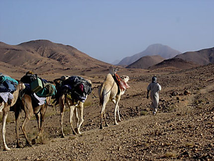 Hoggar, terre nomade