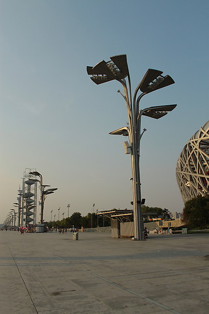 Lampadaires design sur le parc olympique