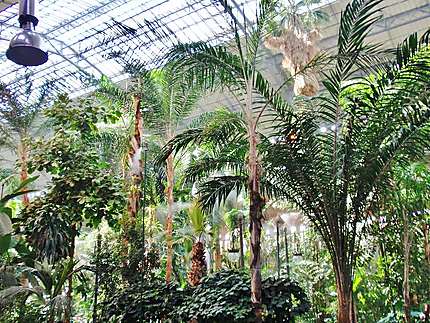 Jardin tropical en gare d'Atocha