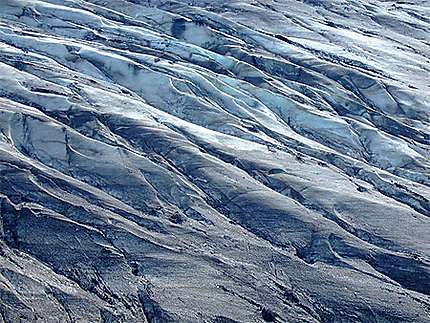 Gros plan sur glacier