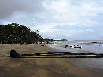 Kourou, la plage