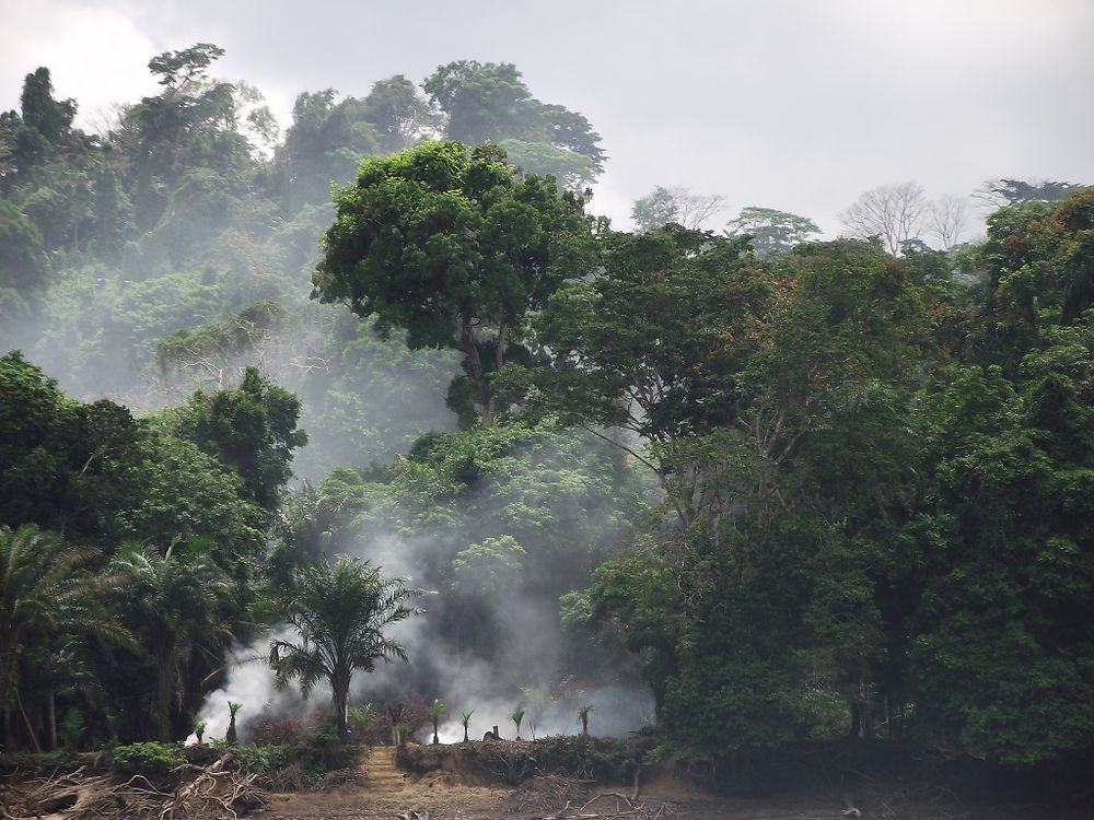 Descente de l'Ogooué