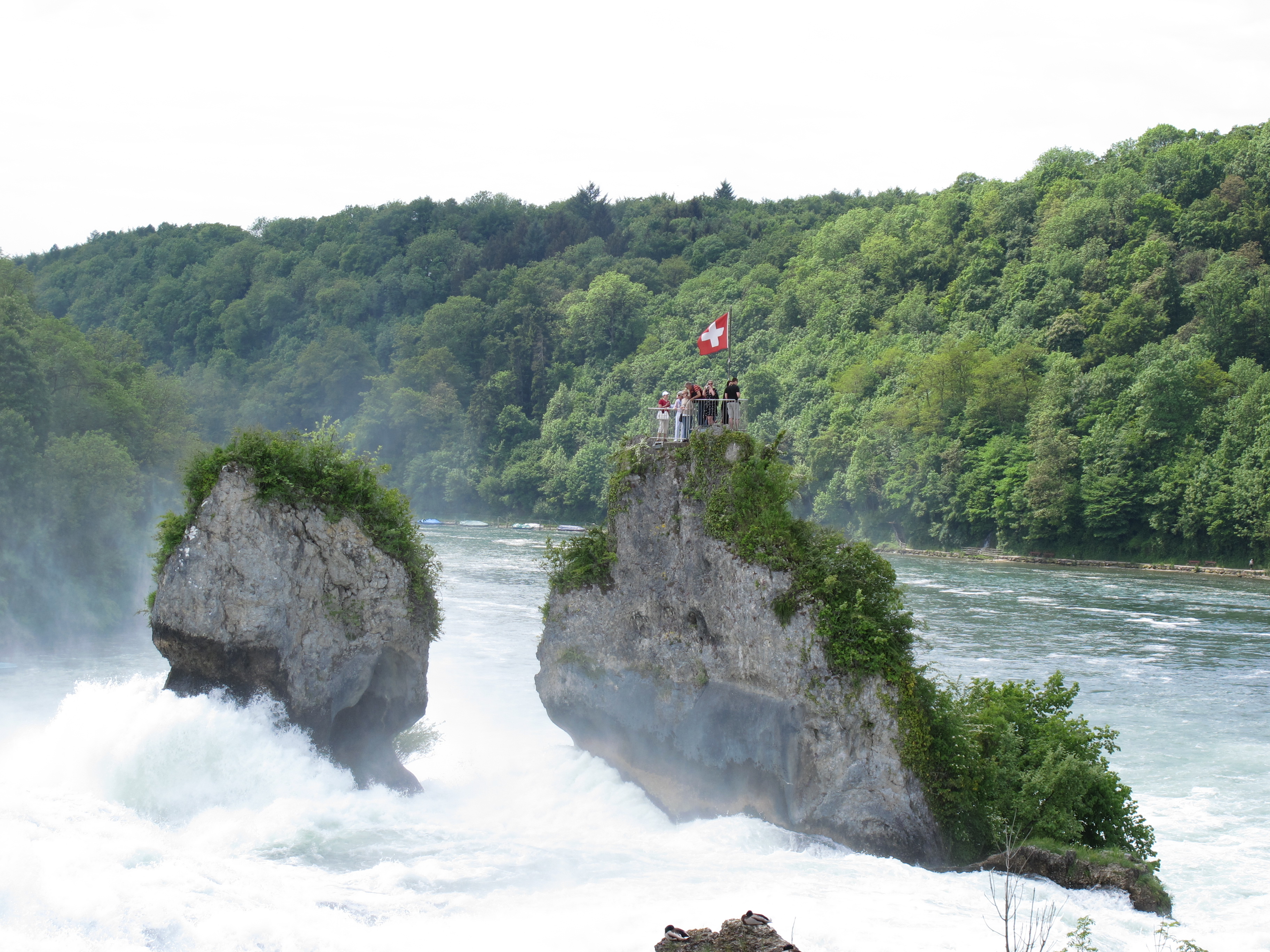 Chutes du Rhin Chutes du Rhin