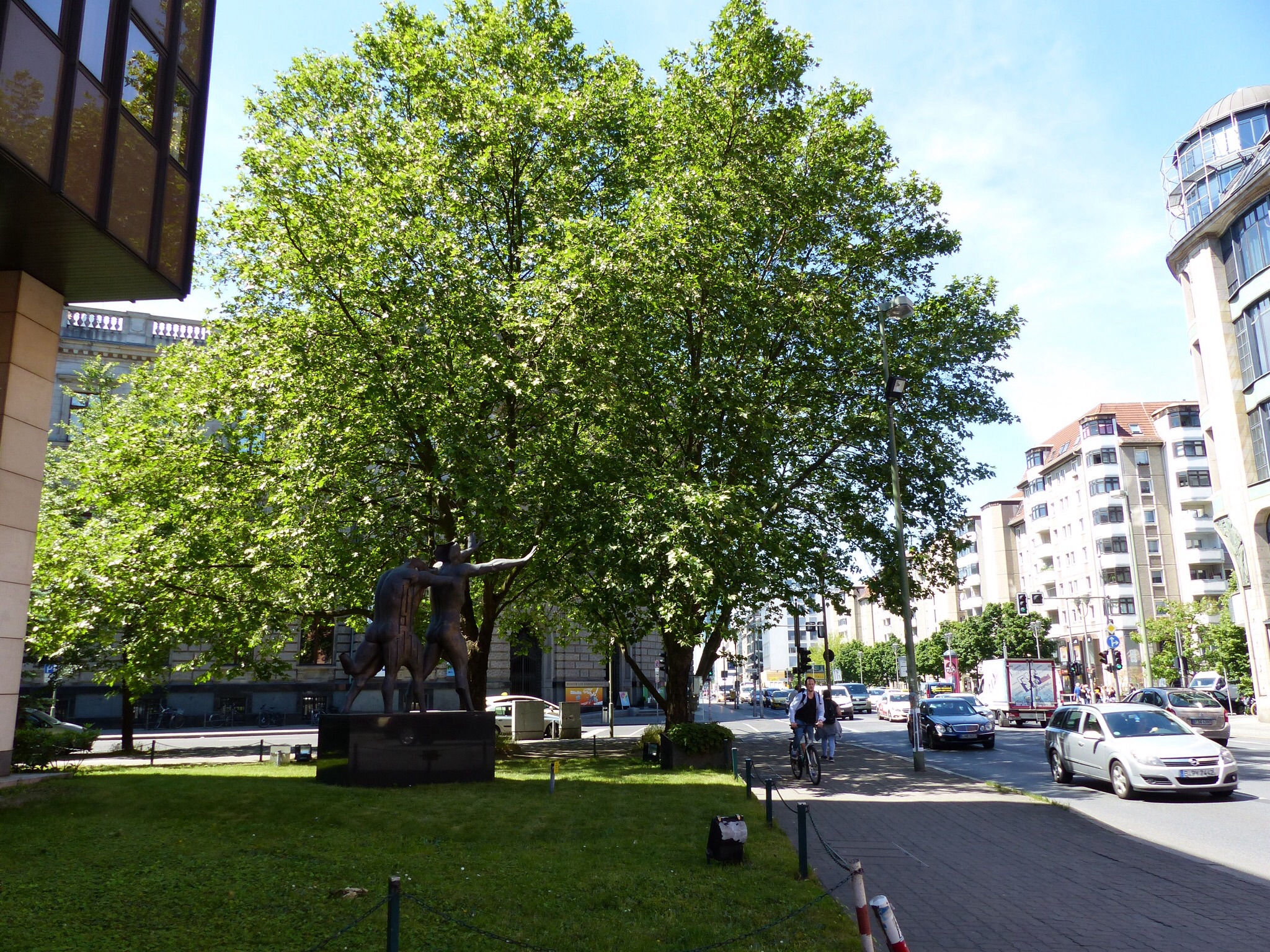 Avenue verdoyante appréciée sous les 30 degrés Avenue verdoyante appréciée sous les 30 degrés