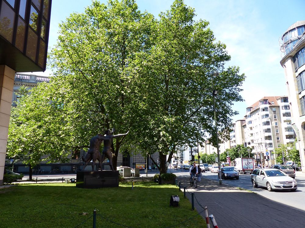 Avenue verdoyante appréciée sous les 30 degrés 