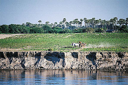 Les Rives de l'Irrawady