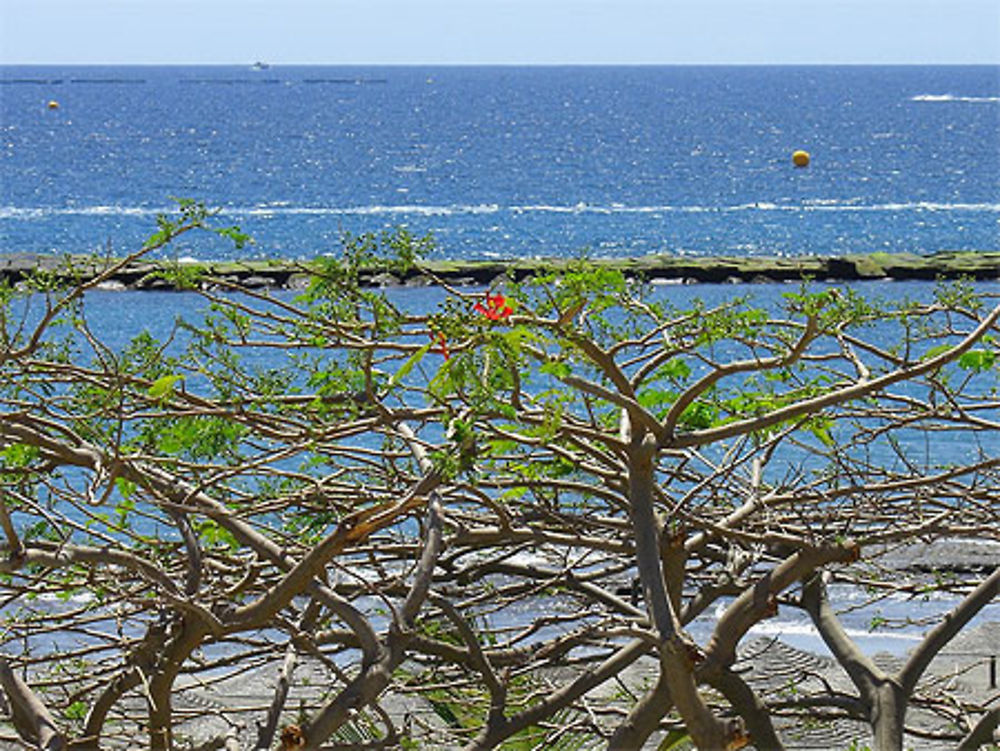 Visiter Playa Fanabe : préparez votre séjour et voyage Playa Fanabe ...