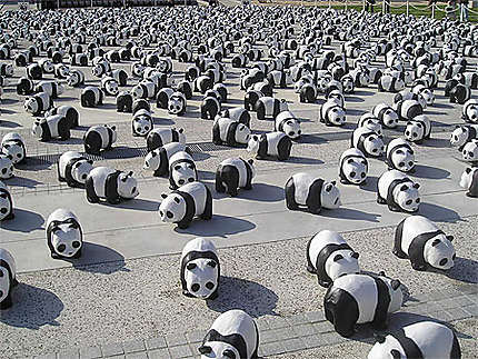 Expo &quot;1600 pandas à Grenoble&quot;
