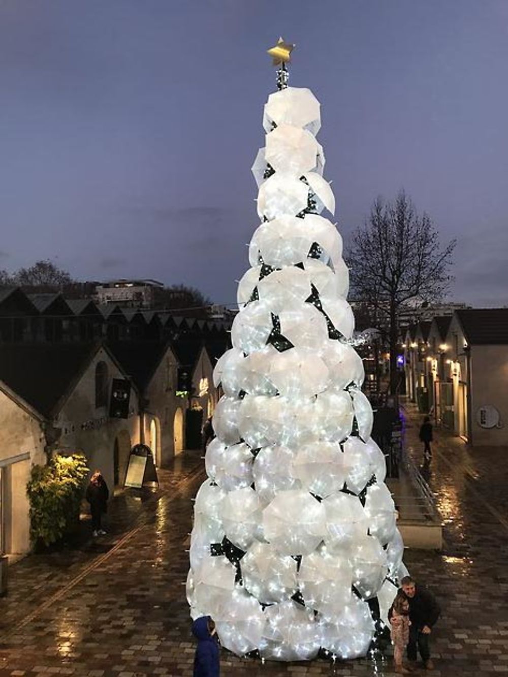 Le Sapin de parapluies Cours St Emilion