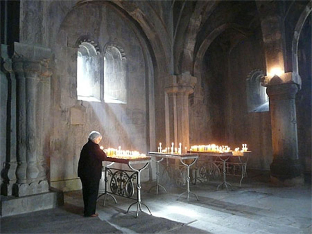 Le gavit éclairé par le soleil