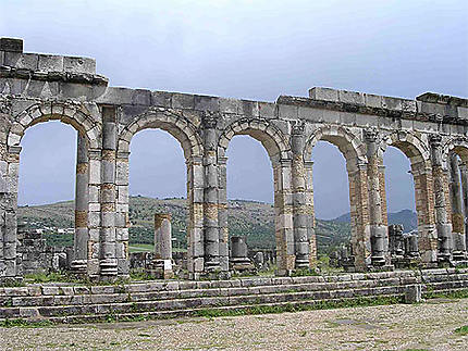 Ruines romaines de Volubilis