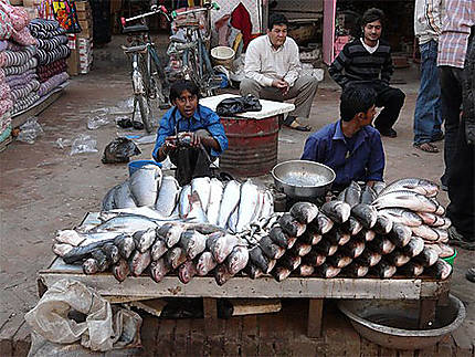Vendeurs de poissons